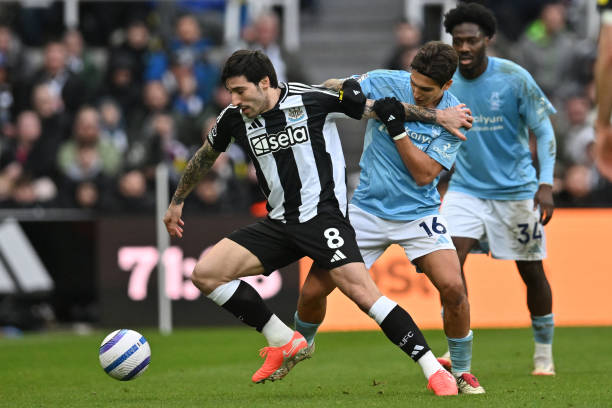 排名会更高 排名会更高